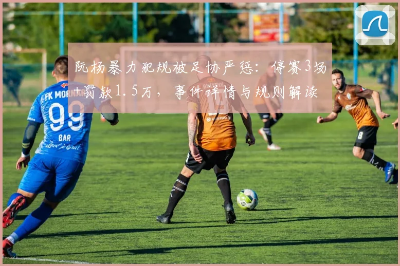 阮杨暴力犯规被足协严惩：停赛3场+罚款1.5万，事件详情与规则解读